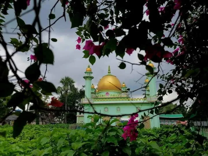 শিরক ও বিদআত মুক্ত সিলসিলা